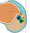 12b_LCP (2).GIF (2343 Byte)