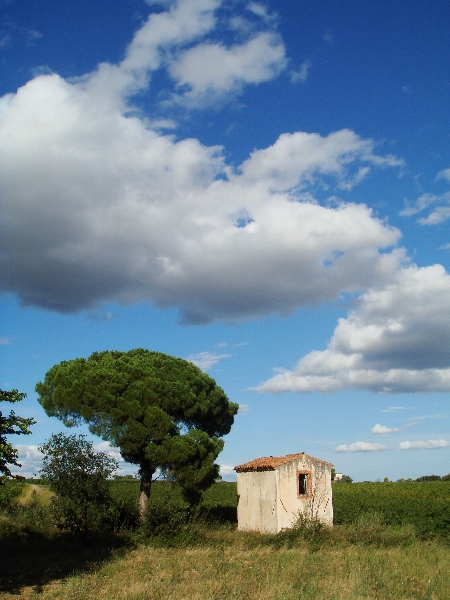 Languedoc