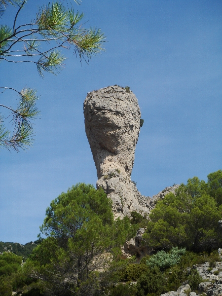 Languedoc