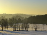 Abendstimmung im Jura