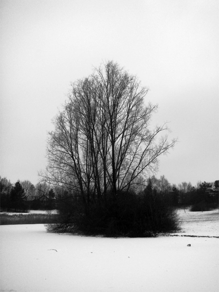 Winterlandschaft